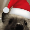 Navidad  8