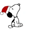 Snoopy Navidad 13