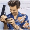 Harry styles memes 13