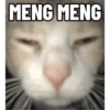 Top Kucing Plenger Meme 16