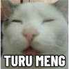 Top Kucing Plenger Meme 15