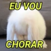 PARA NAMORADOS E CRUSH❣️ 11