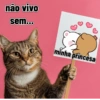 Melhores figurinhas 5