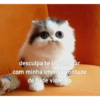 Flerte +18 5