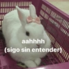 😎 SHITPOST PA' LA VIDA 8 🤙 11