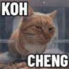 Top Kucing Plenger Meme 5