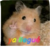 Memes del pro 12