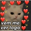 Indiretas amorosas 💖 7