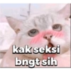 Stiker kucing imut  30