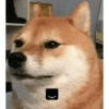 Animalitos 7