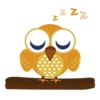 Z zz