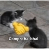 Hehe (2) 15