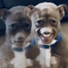 Reacciones de Tiktok 7😎 9