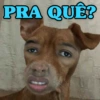 MEMES FANTÁSTICOS 5