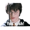 Harry Potter ⚡️⚡️⚡️ 29