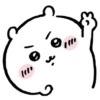 Chiikawa 24