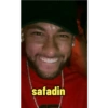 safadin