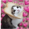 Gatitos heart 3 (mejores) 28