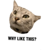 WHY LIKE THIS?