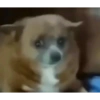 JHONATHAN 8