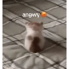 Hehe (2) 25