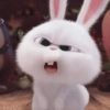 Reações das animações 27