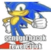 SONIC SI PEMARAH 7