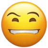 Emoji iPhone 2026 9