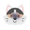 Pack de gatita graciosa 2 6