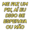 ME FAZ UM PIX, AÍ EU DIGO SE ESPERAVA OU NÃO