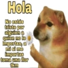 Perrito Cheems 8