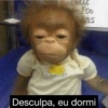 REAÇÕES E MEMES 🤣 13