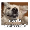 o que tá acontecendo?