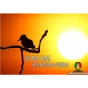 BOM DIA! SEGUNDA-FEIRA Pertal ce 507 WWW.REGGAEPAZ.COM