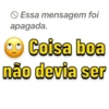 Essa mensagem foi apagada. Coisa boa não devia ser