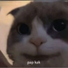 Smile cat ~ 13