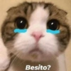 Besito?