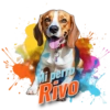 Dia de perro 5 6