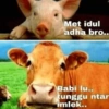 Idul adha kurban 9