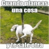 😂•Lunes de Memes•🤣 11