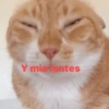 😎 STICKERS SHITPOST 16 🤙 13