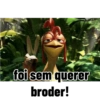 foi sem querer broder!