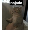 nojado