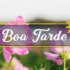 Boa Tarde