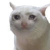 Sad Stickers 8