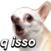 q isso