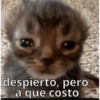 @remediodagad
despierto, pero
a que costo