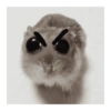 ANIMALITOS 🌟🥹 5