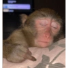 Animalitos tiernos🥰 7