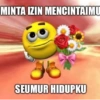 Apani 11